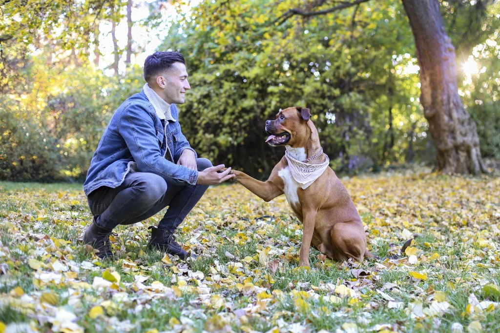A man squats in a park covered with autumn leaves, smiling and holding the paw of a happy brown dog wearing a bandana. Sunlight filters through the trees in the background.
