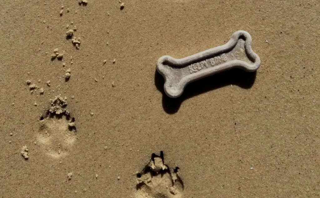 A large dog bone-shaped treat labelled GLEN BONE lies on sandy ground near two dog paw prints, emphasising the importance of respecting boundaries—much like a Privacy Policy protects your personal space.