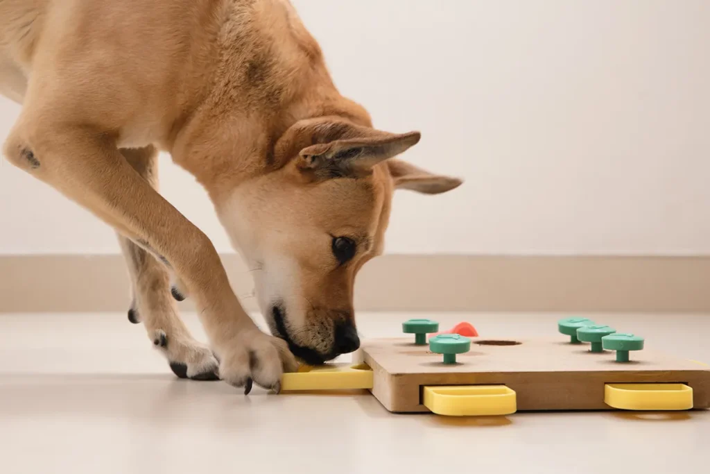 A tan dog uses its nose to solve a wooden puzzle toy with sliding yellow and green pieces on a smooth floor, enjoying some engaging scent games for dog enrichment.