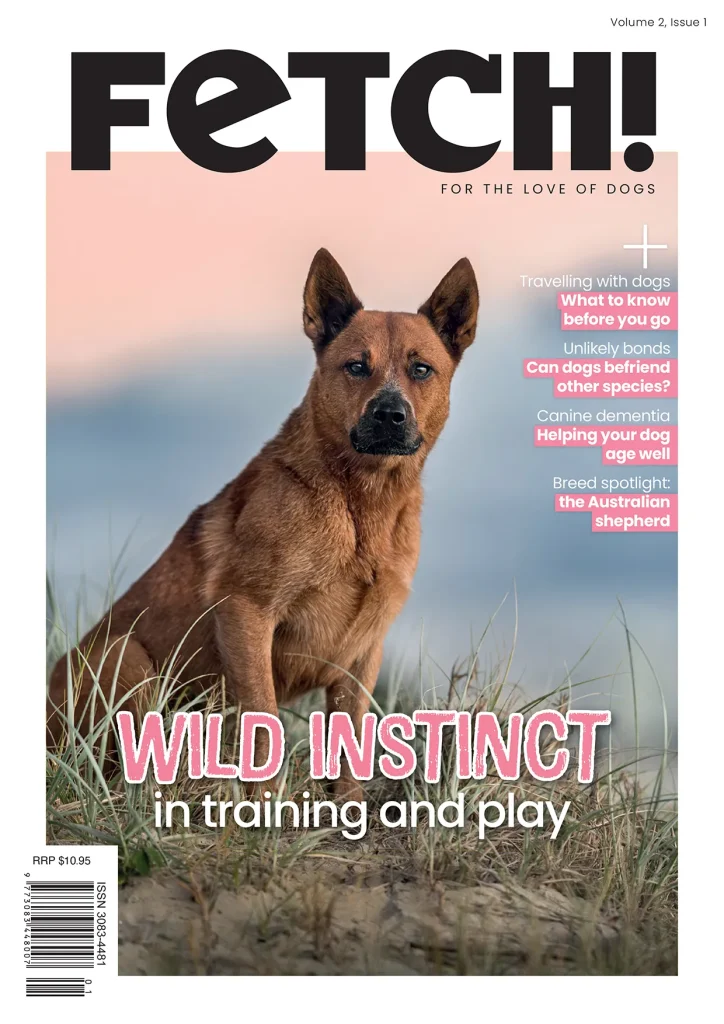 A brown dog sits on sand with grass in the background under a pink sky. The magazine cover headline reads, WILD INSTINCT in training and play. Edition 1, Volume 2 also features other articles about dogs listed on the right.